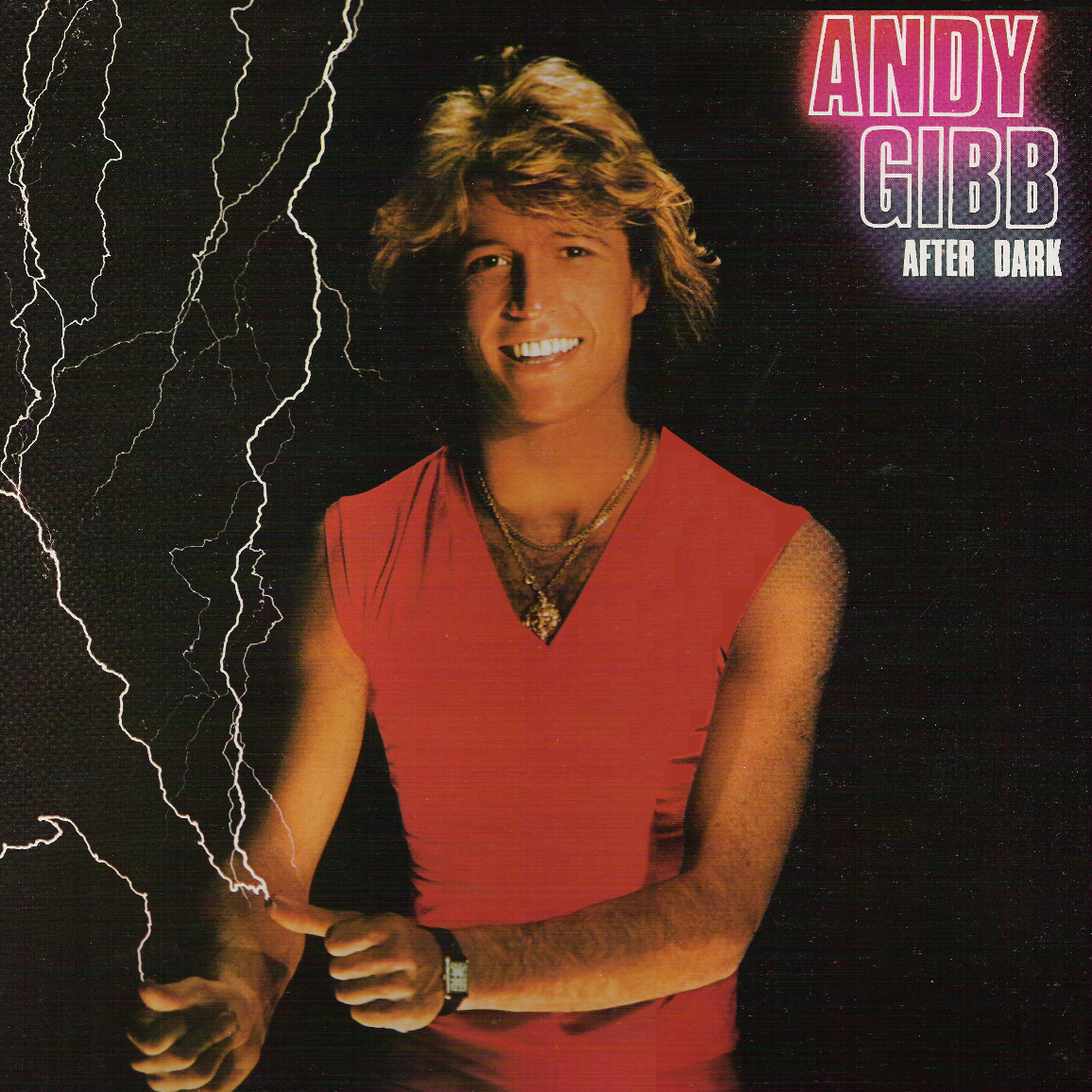 After Dark LP by Andy Gibb